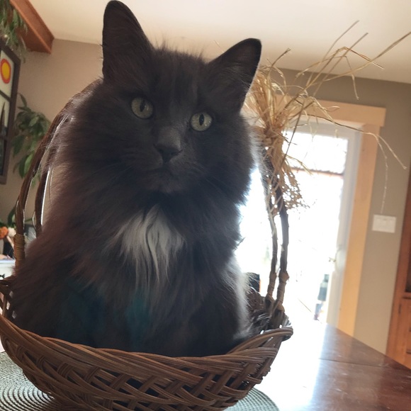 Meet your Posher, Léann - Picture 1 of 1